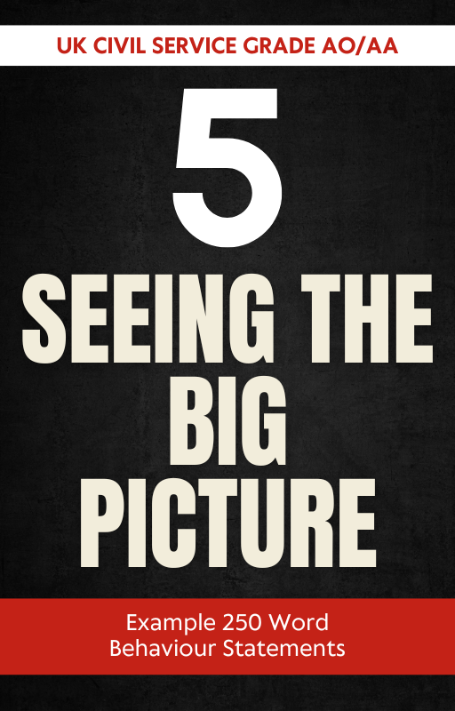 Seeing the Big Picture 250 Word Statements for Grade AO/AA Roles